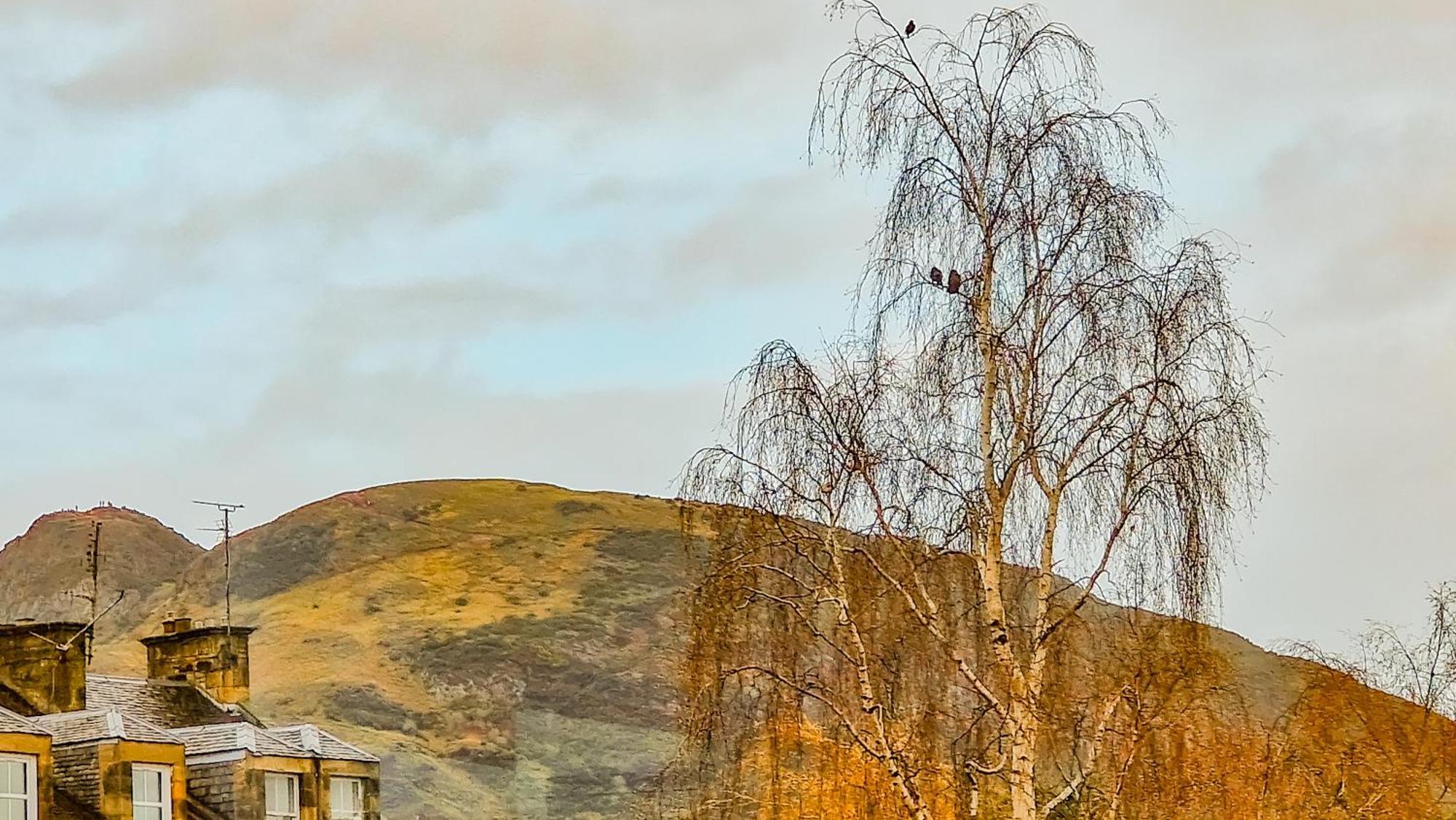 Mayfield Suites Edinburgh Dış mekan fotoğraf